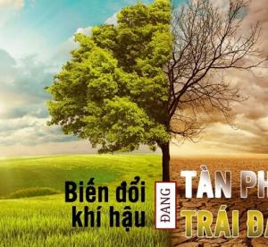 Khí CO2 Có Vai Trò Gì Trong Chống Biến Đổi Khí Hậu