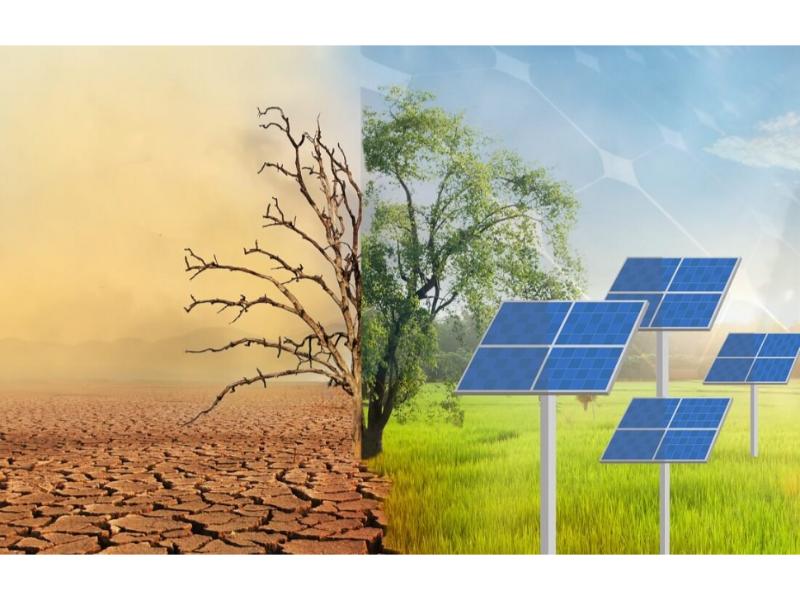 CO2 là một yếu tố quan trọng trong quá trình quang hợp của cây trồng