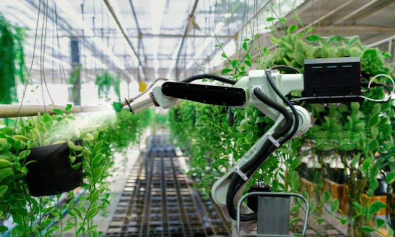 CO2 giúp cải thiện chất lượng nông sản Việt
