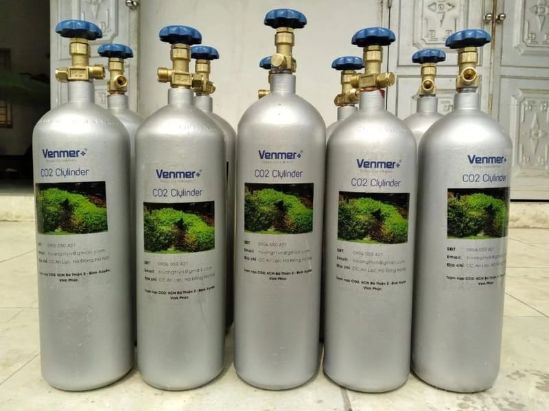 cách tạo co2 cho bể cá