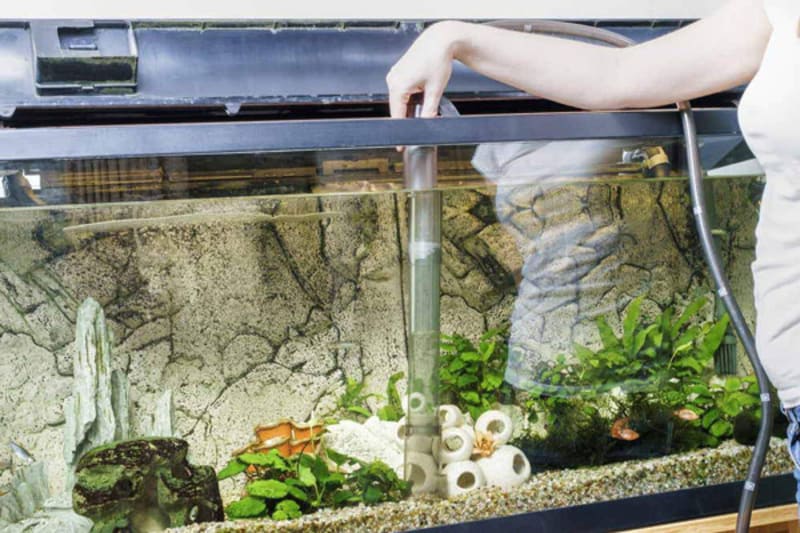 cách tạo khí co2