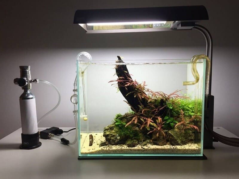 Hướng dẫn chọn phương pháp tạo CO2 thích hợp