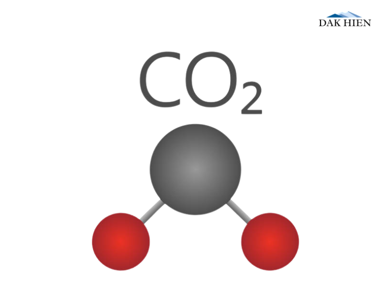 Cấu trúc phân tử CO2