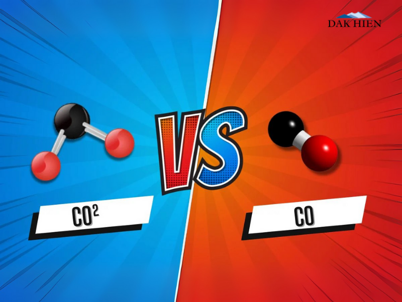 phân biệt co với co2